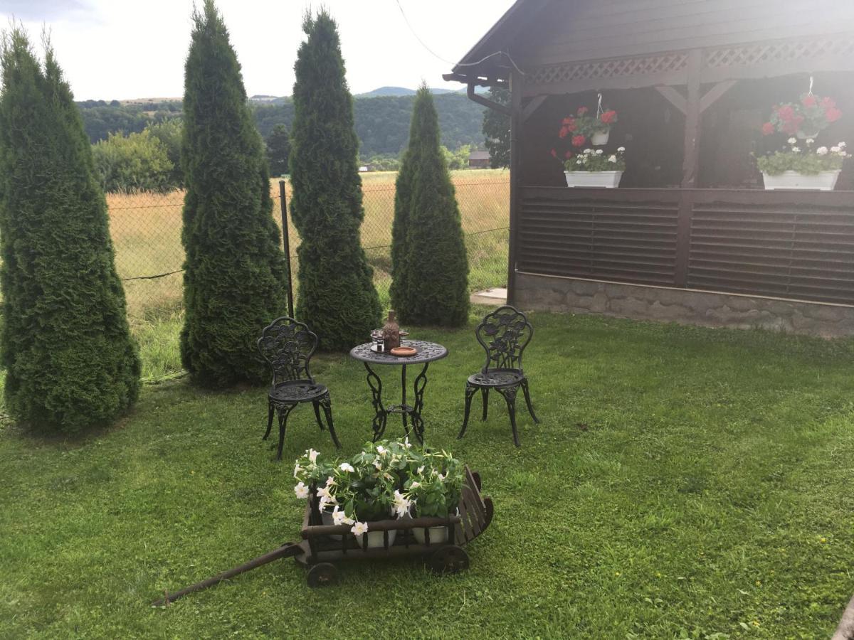 Hotel Casa Bambi Sovata Zewnętrze zdjęcie